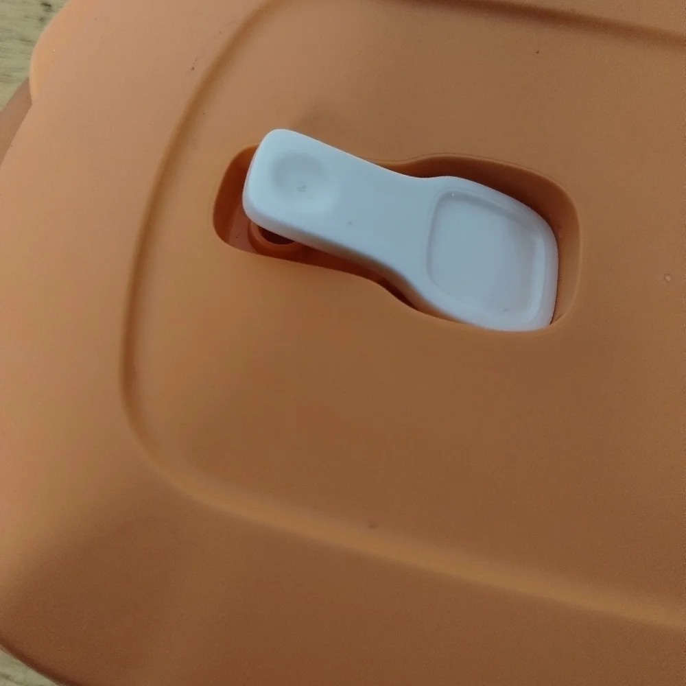 New orange Tupperware oval microwave meal keeper!